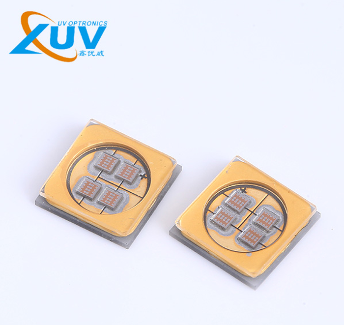 不同寵物品種適配寵物理療毯 LED 光源有何差異 不同寵物品種適配寵物理療毯 LED 光源有何差異